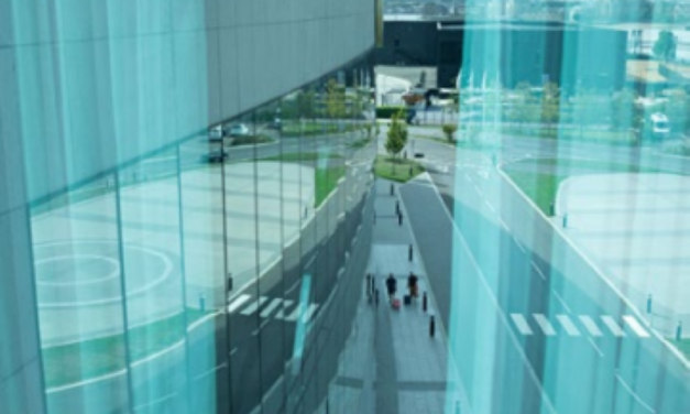 Domotica e Sistemi di interactive TV