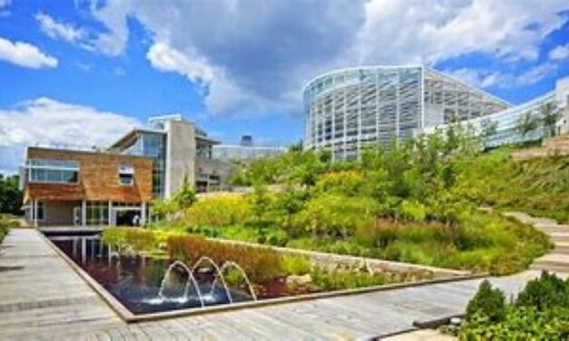 Smart e green Building