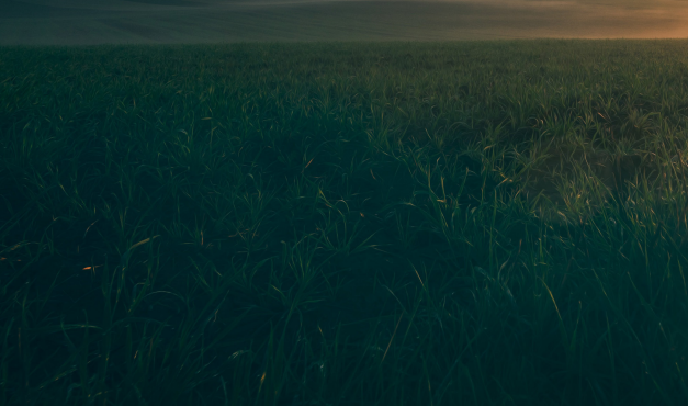 Crisi energetica e reti intelligenti digitali