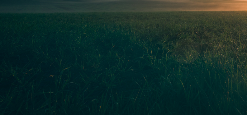 Crisi energetica e reti intelligenti digitali