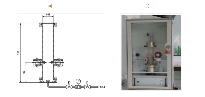 Prove sperimentali sulle Polveri e Particelle solide combustibili