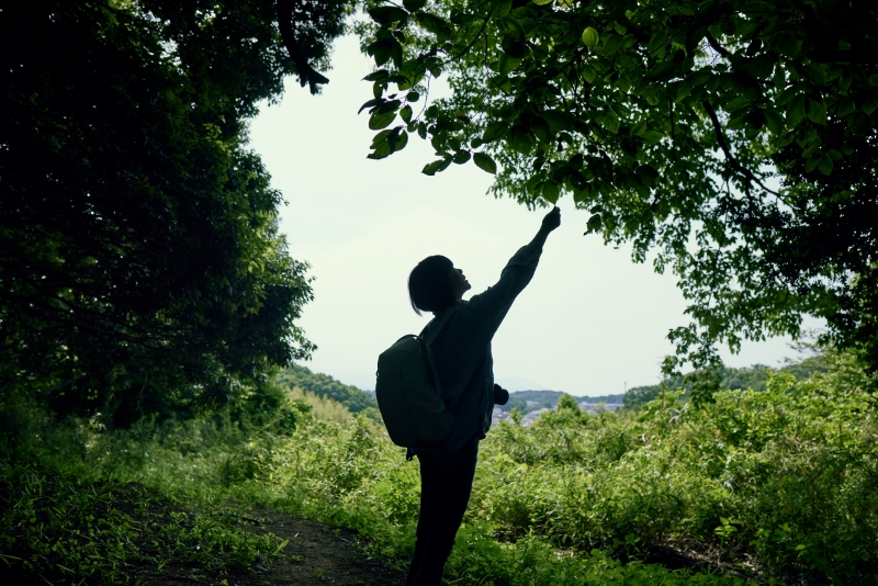 Schneider Electric riconosciuta come leader nella consulenza sulla decarbonizzazione degli edifici